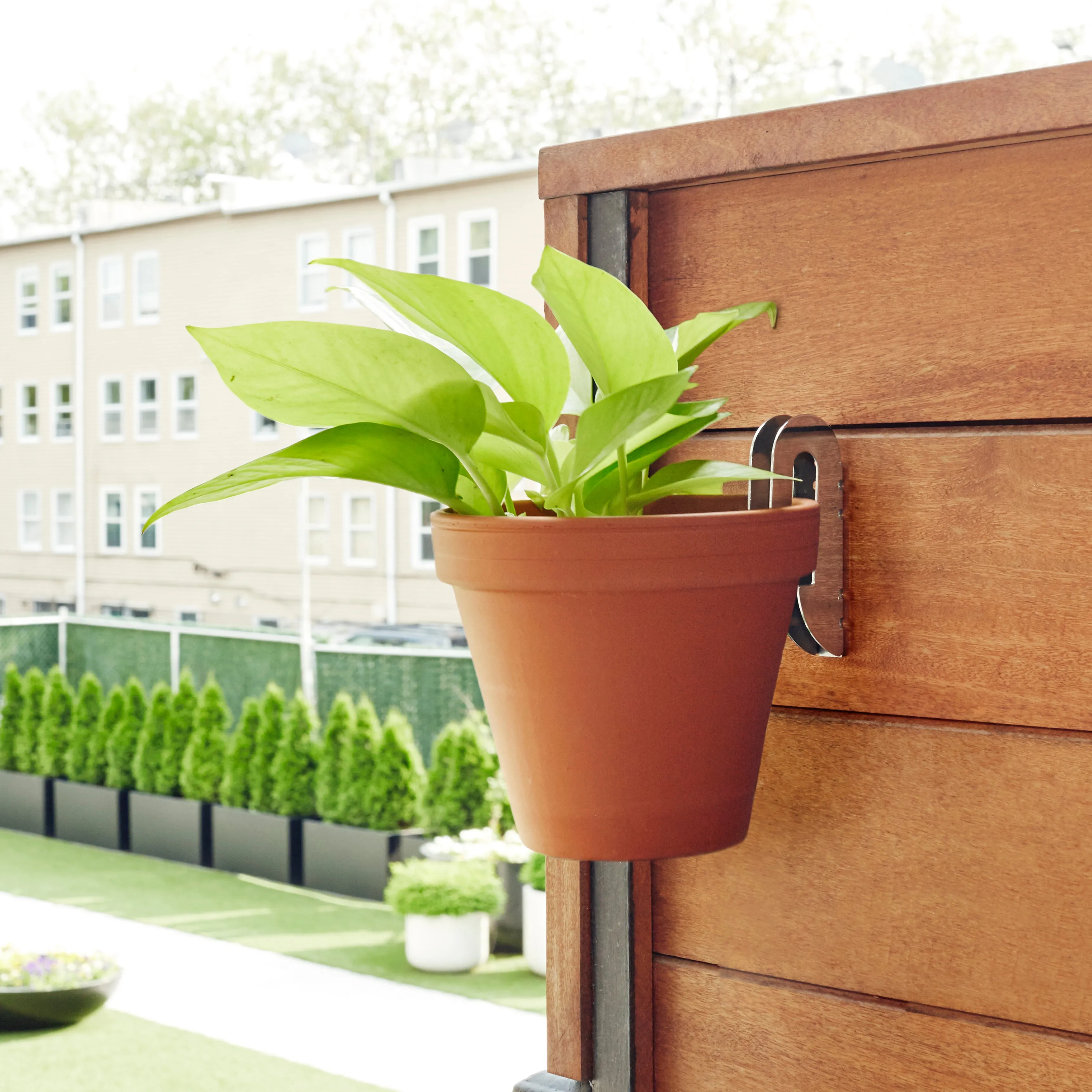 Floating Plant Hangers