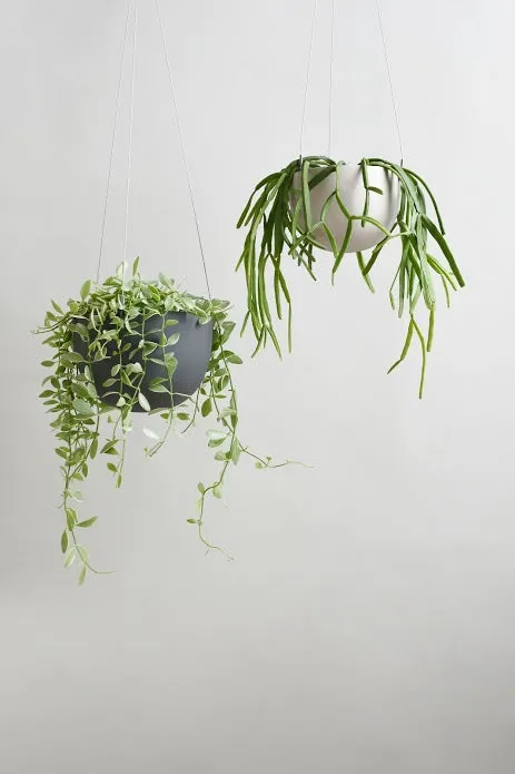 Hanging Plant Pot 140mm or 174mm _ Black or White