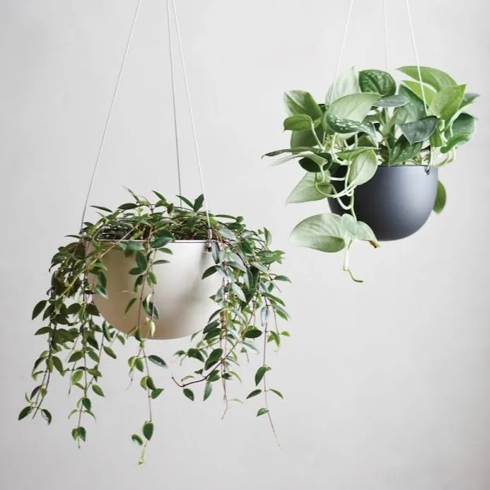 Hanging Plant Pot 140mm or 174mm _ Black or White