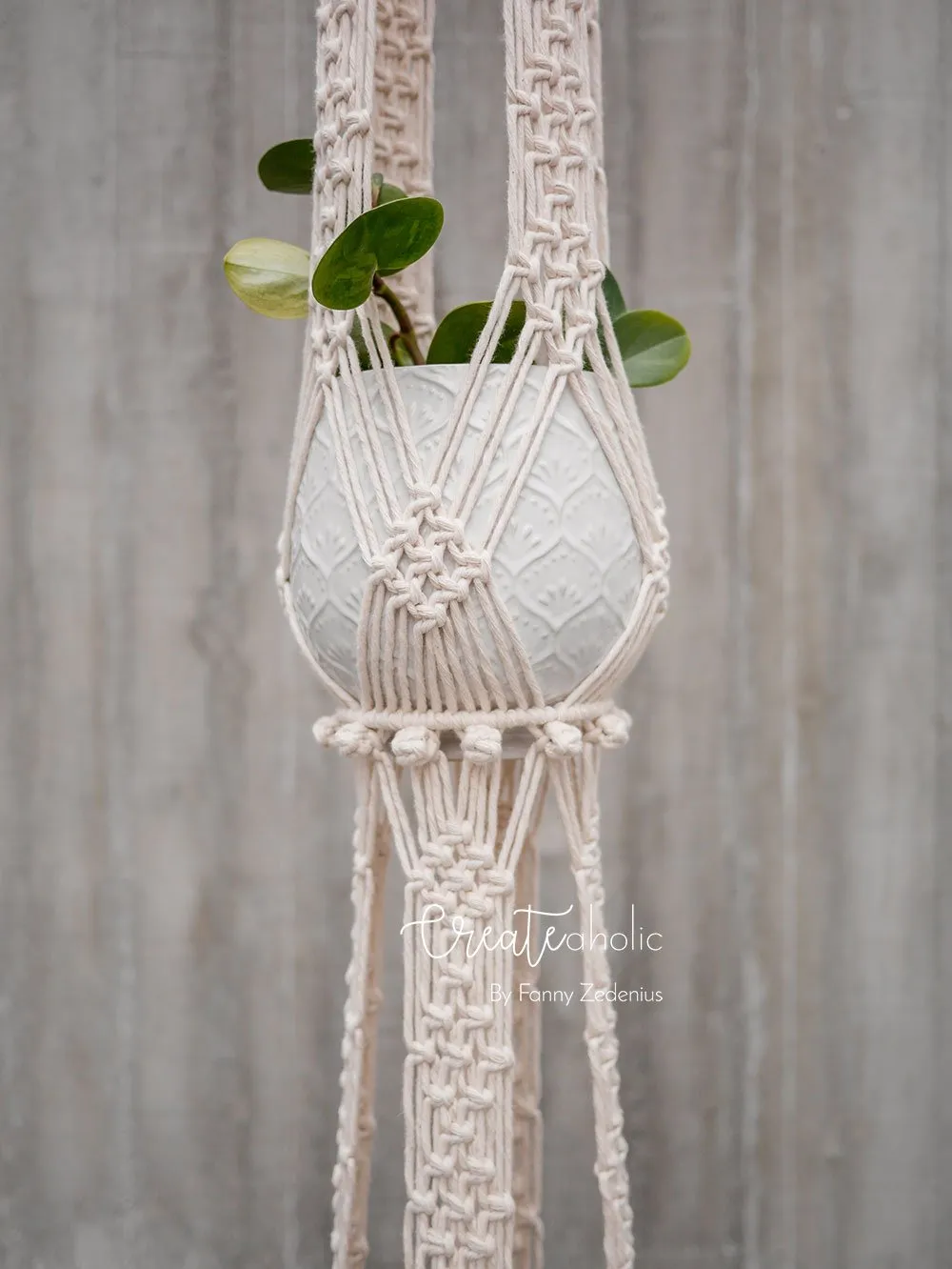 Macramé plant hanger, "Royals" #1