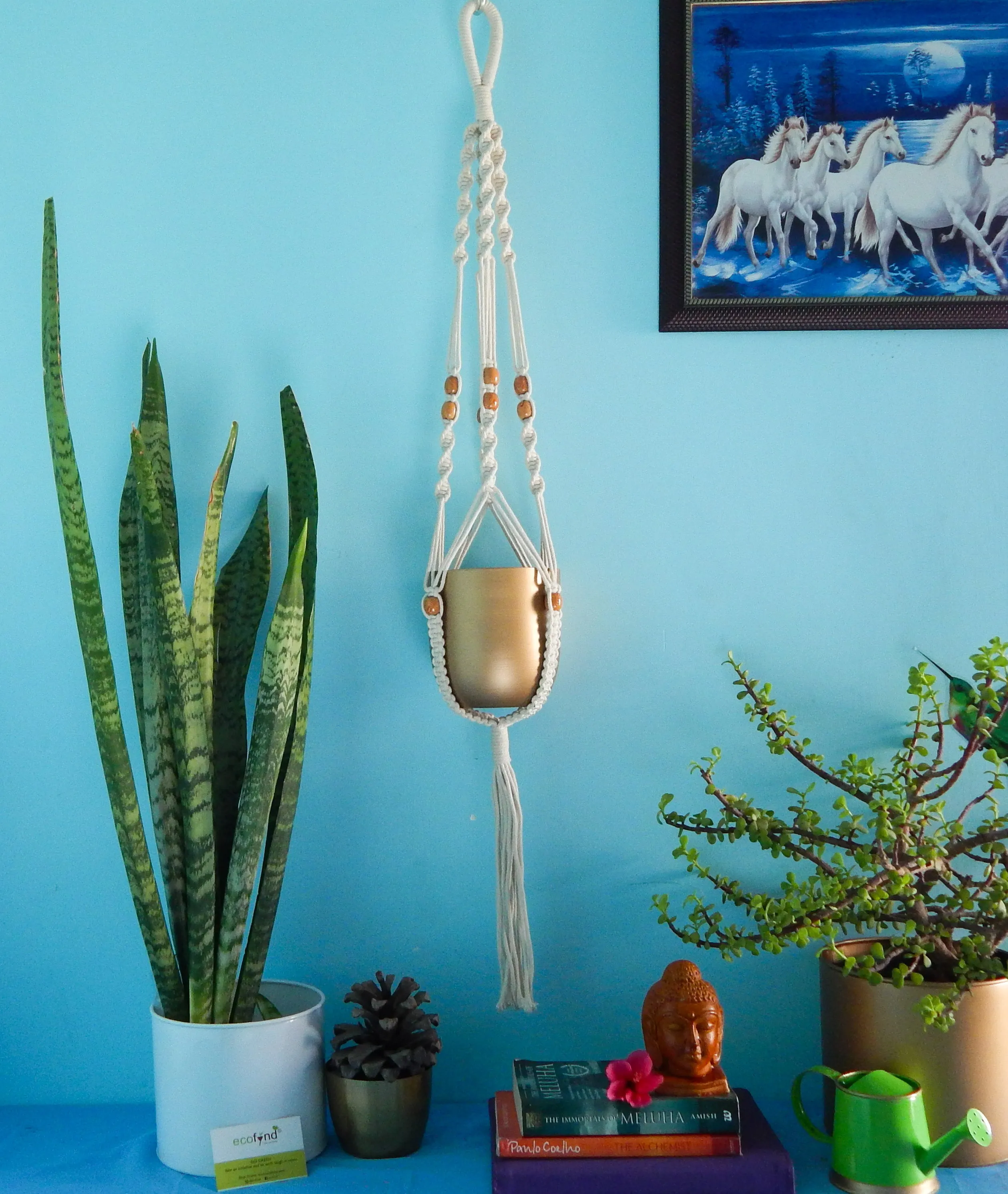 Macrame Cotton Plant Hanger with Beads