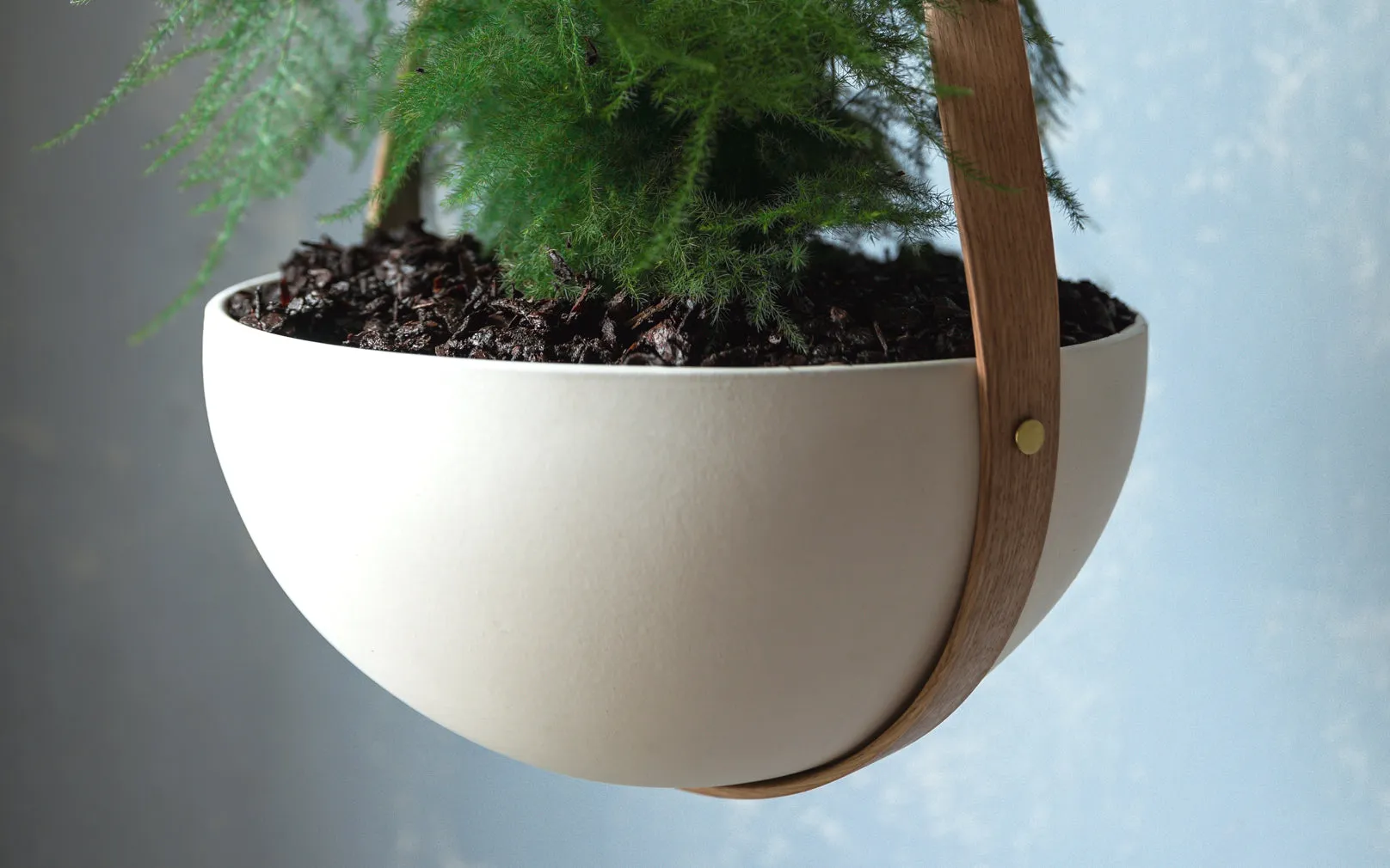 Morvah Ceiling Hanging Planter