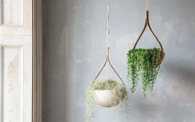 Morvah Ceiling Hanging Planter