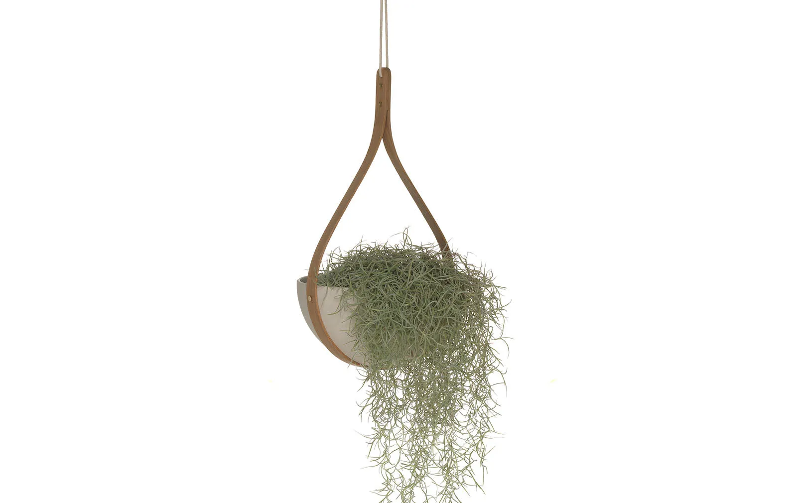 Morvah Ceiling Hanging Planter