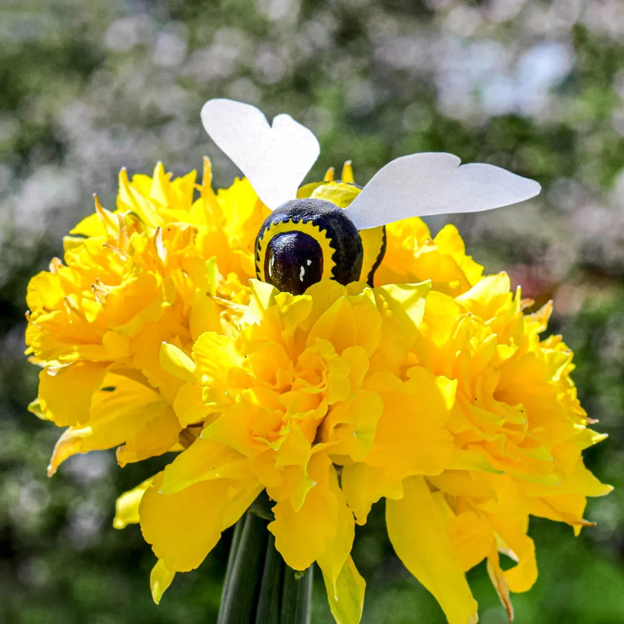 Wooden Bumblebee